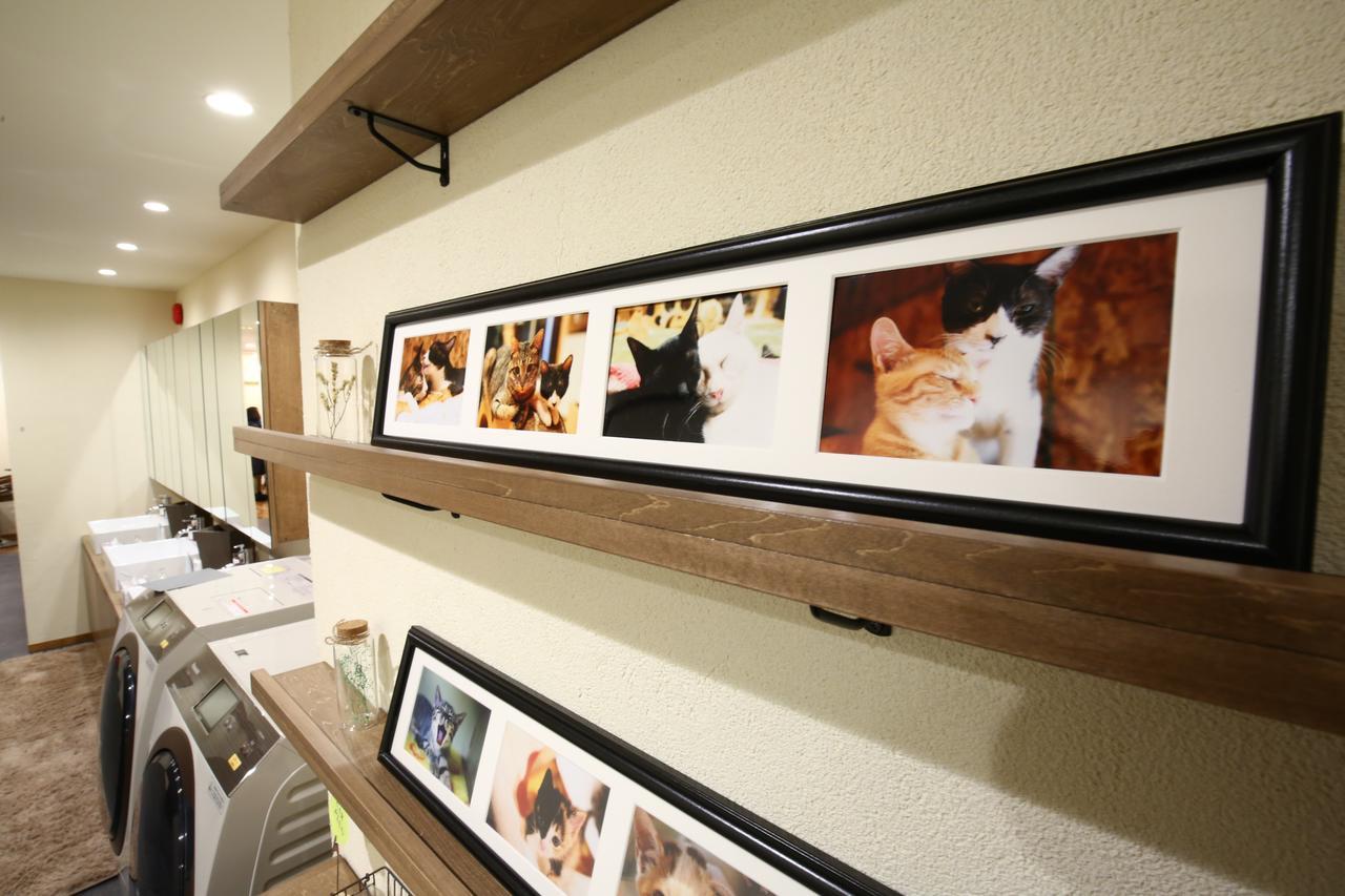 Yagura Hostel Fukuoka  Exterior foto